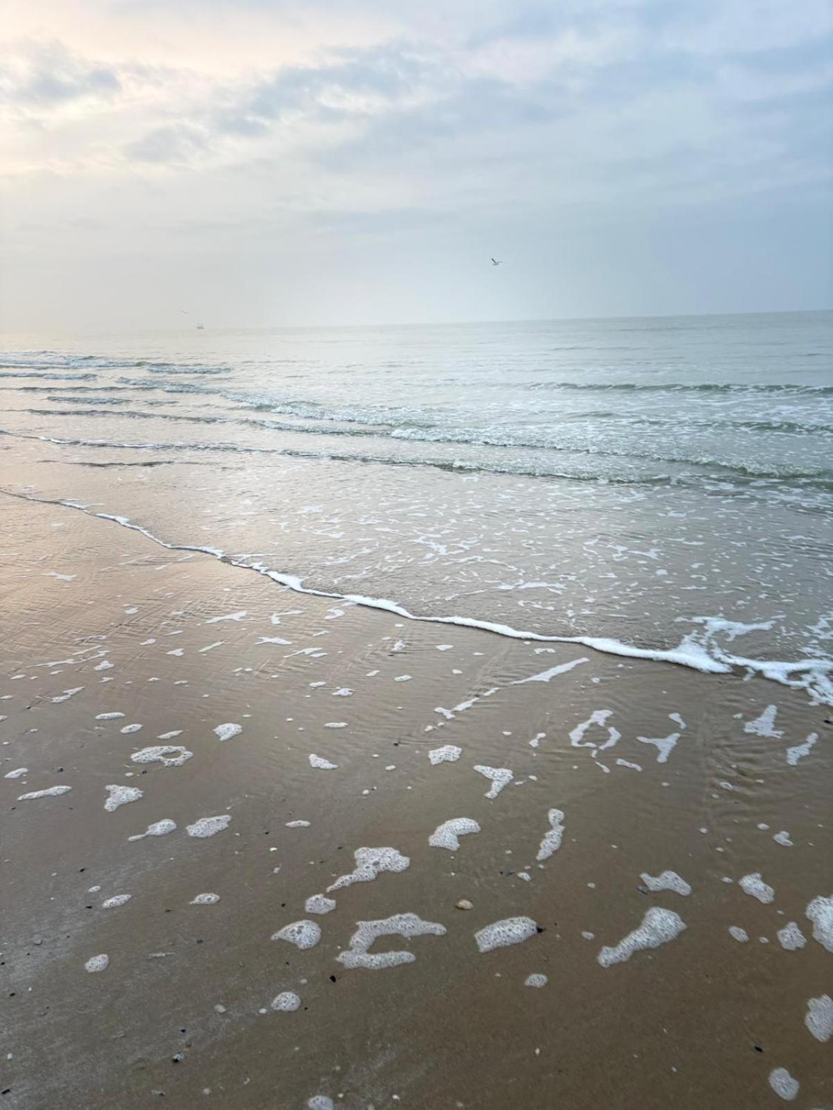 Middelkerke - Frontaal Zeezicht Apartment ภายนอก รูปภาพ